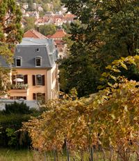 wein_stadt_1